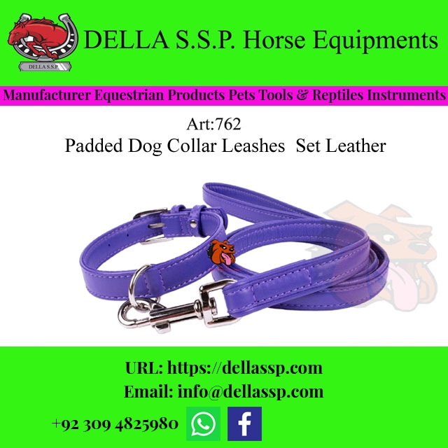 Padded Dog Collar Leashes Set Leather