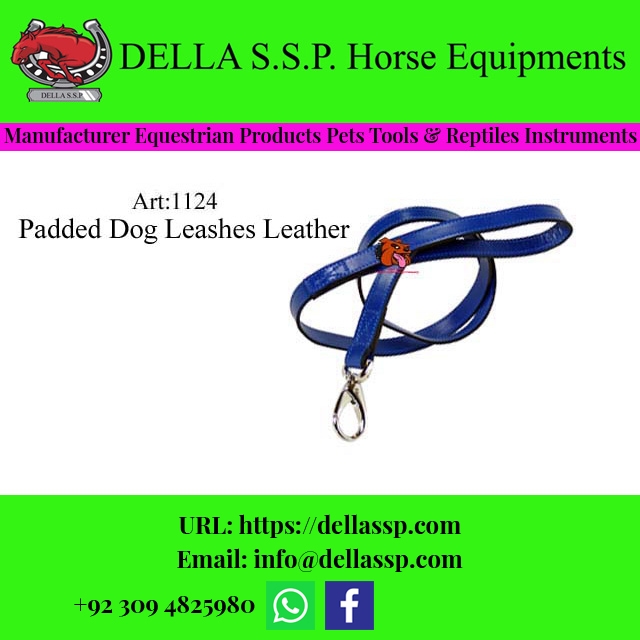 Padded Dog Leashes Leather