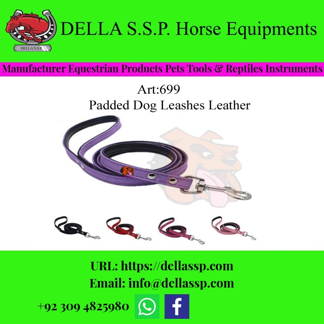 Padded Dog Leashes Leather