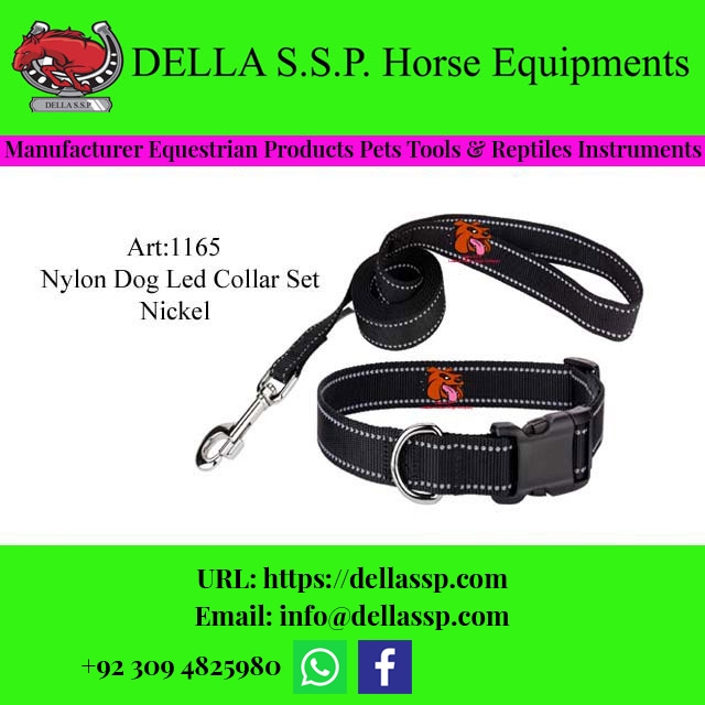 Dog Collar Leashes Set