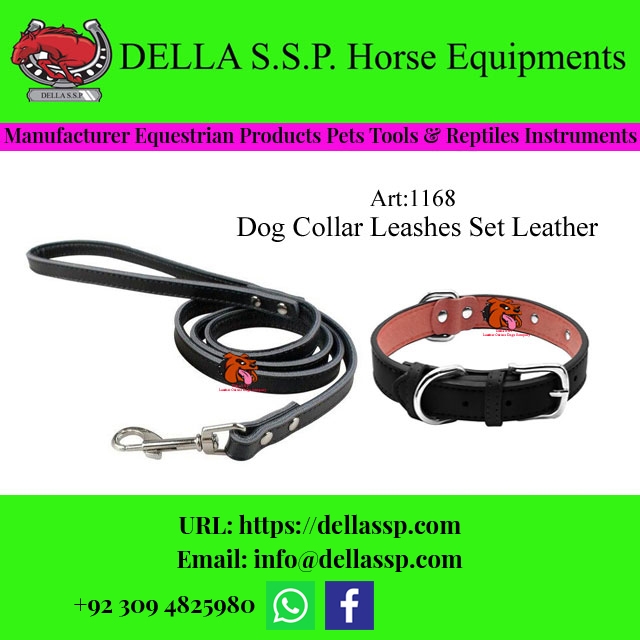 Dog Collar Leashes Set