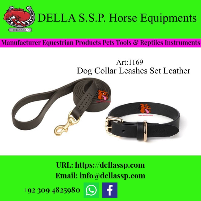 Dog Collar Leashes Set