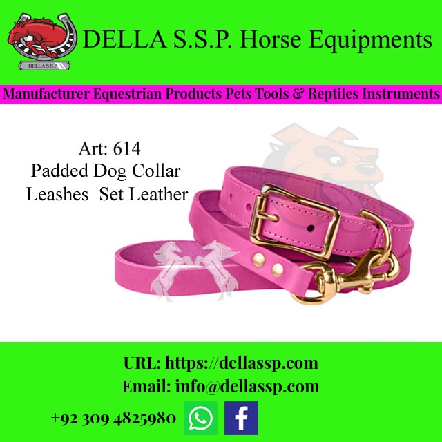 Padded Dog Collar Leashes Set Leather