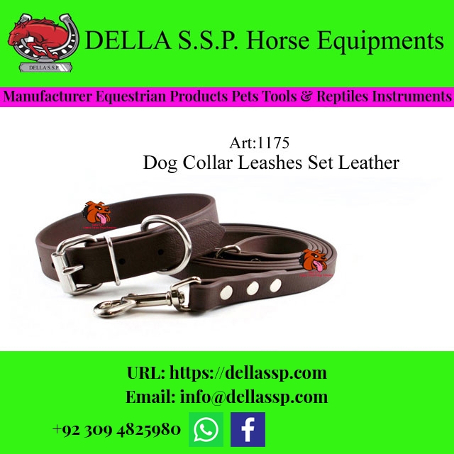 Dog Collar Leashes Set