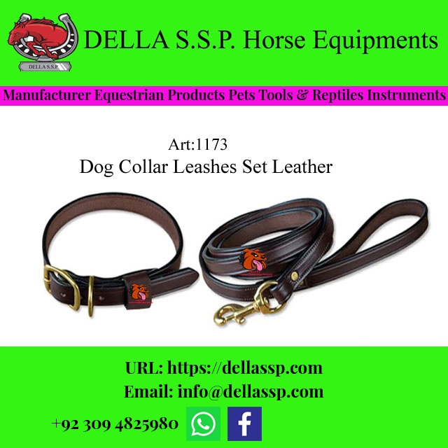 Dog Collar Leashes Set