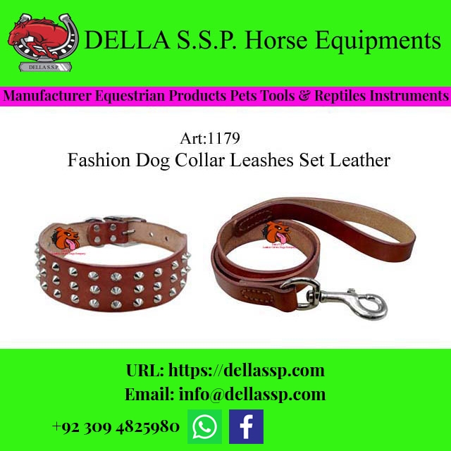 Dog Collar Leashes Set