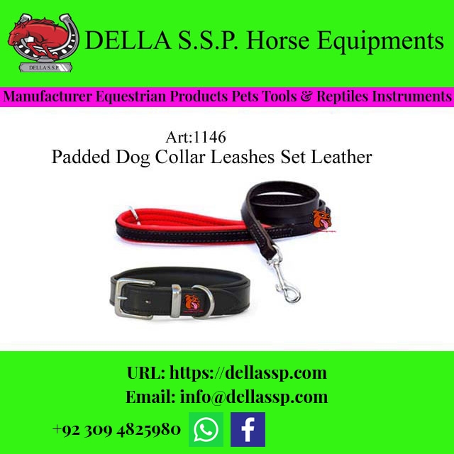 Padded Dog Collar Leashes Set Leather