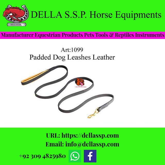 Padded Dog Leashes Leather