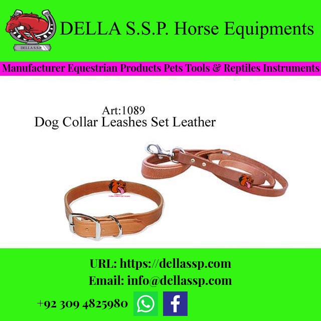 Dog Collar Leashes Set Leather