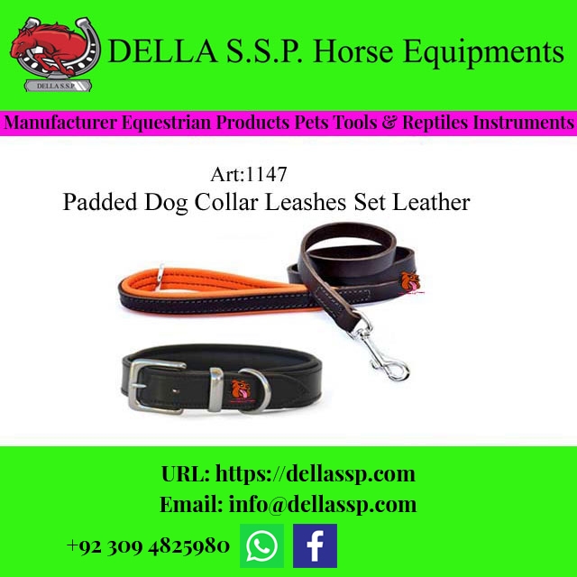 Padded Dog Collar Leashes Set Leather