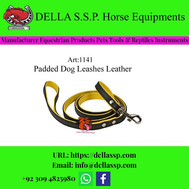 Padded Dog Leashes Leather