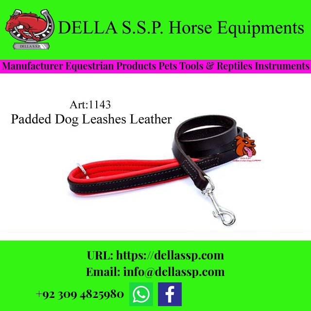 Padded Dog Leashes Leather