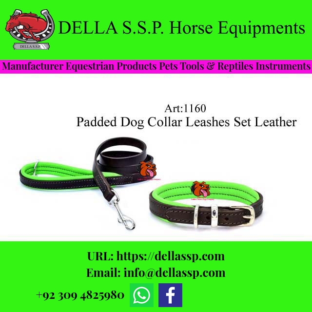 Padded Dog Collar Leashes Set Leather