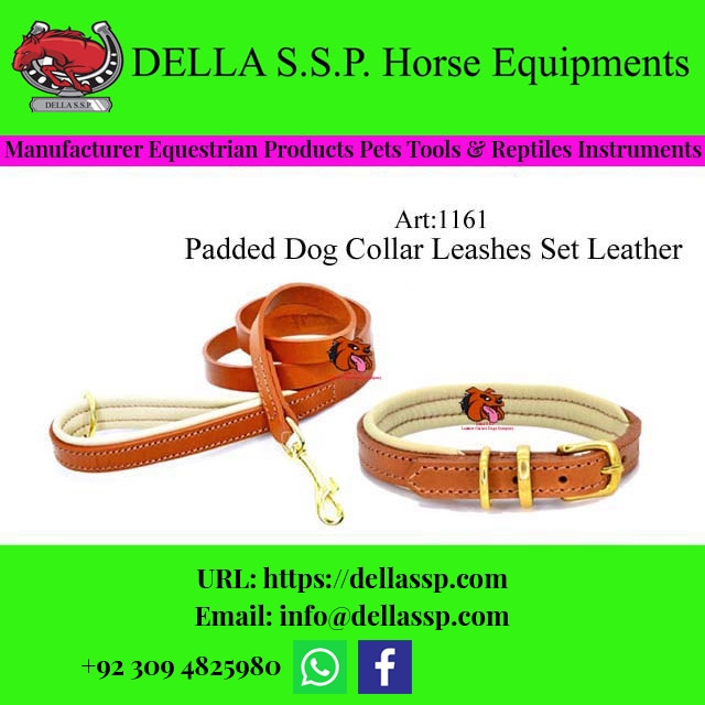 Padded Dog Collar Leashes Set Leather