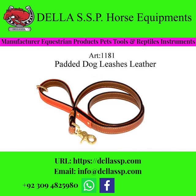 Padded Dog Leashes Leather