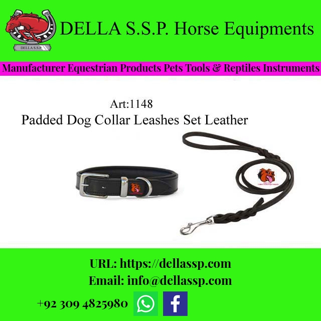 Padded Dog Collar Leashes Set Leather